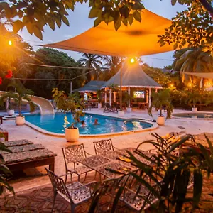 book here