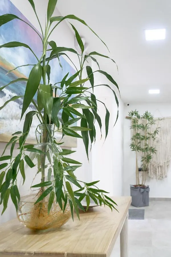 Hotel Bambu Milla De Oro Medellín