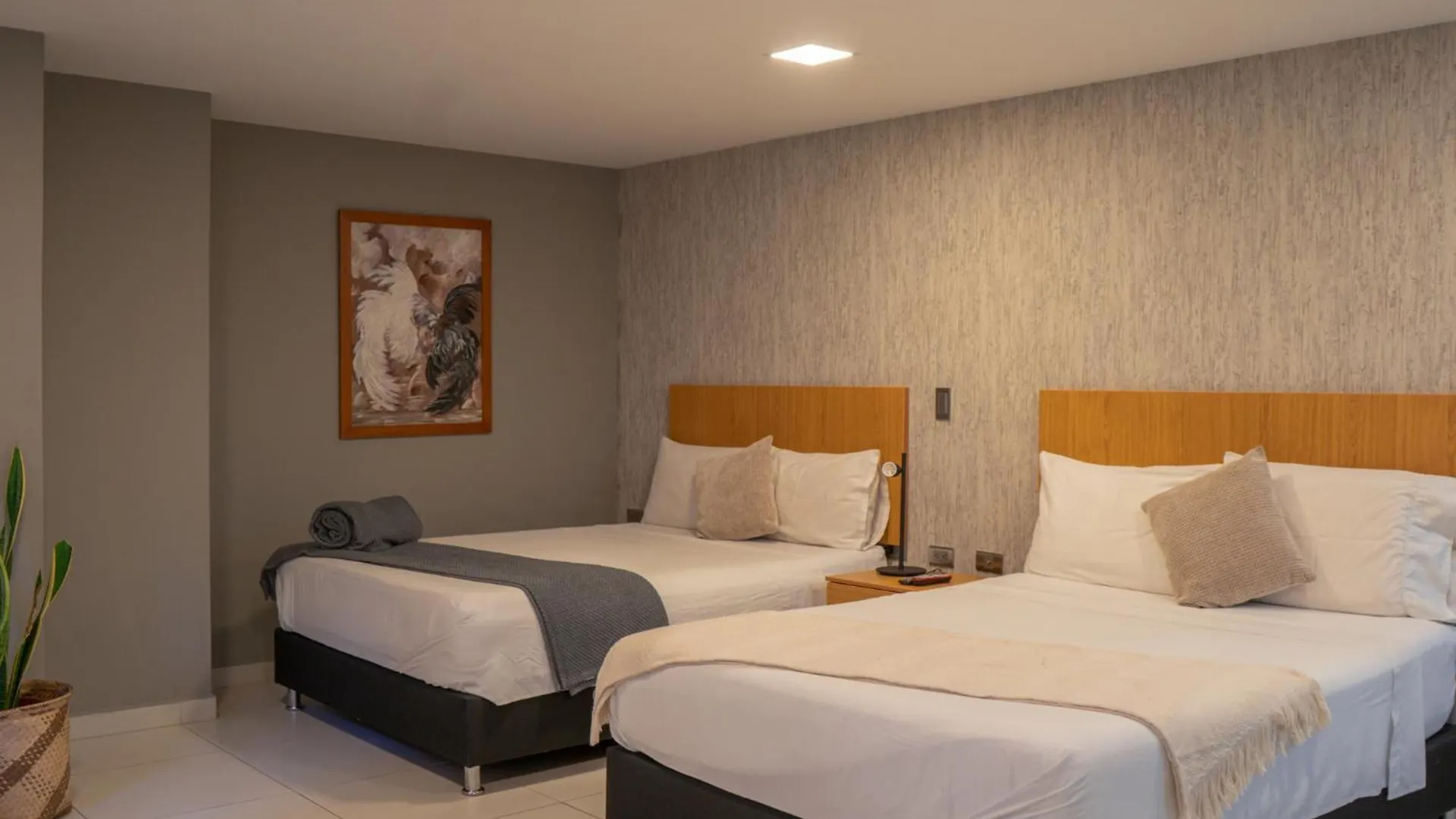Hotel Bambu Milla De Oro Medellín